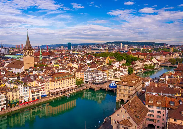Sicherer Transport beim Umzug mit Haustieren