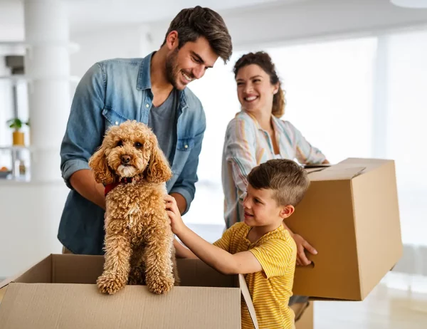 Eingewöhnung nach dem Umzug mit Haustieren